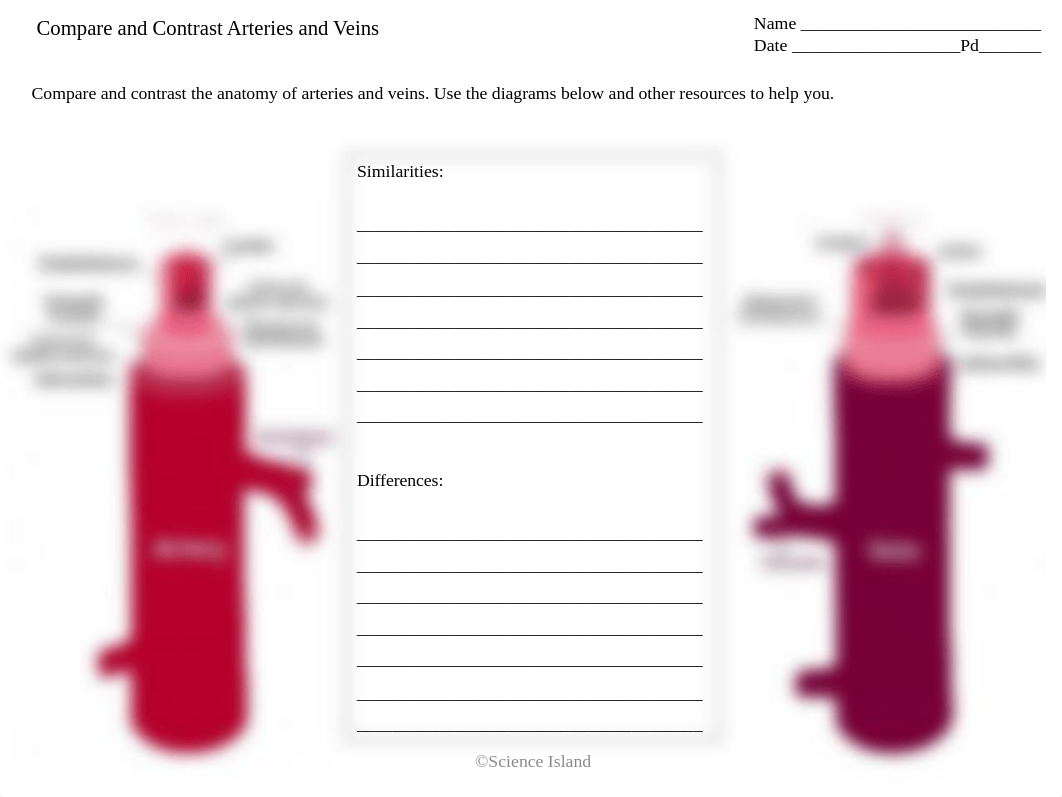 14 Compare Contrast Arteries and Veins.pptx_d8c70pe3uw0_page1