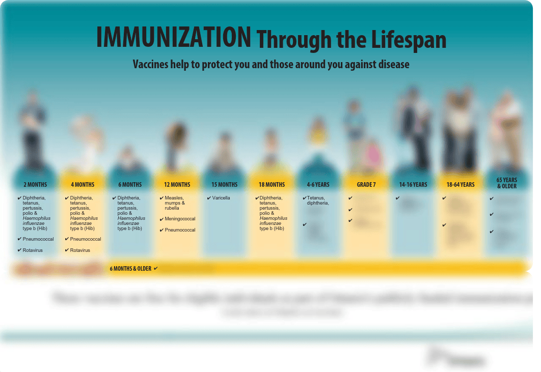 immunization_poster_lifespan.pdf_d8chre1uv53_page1