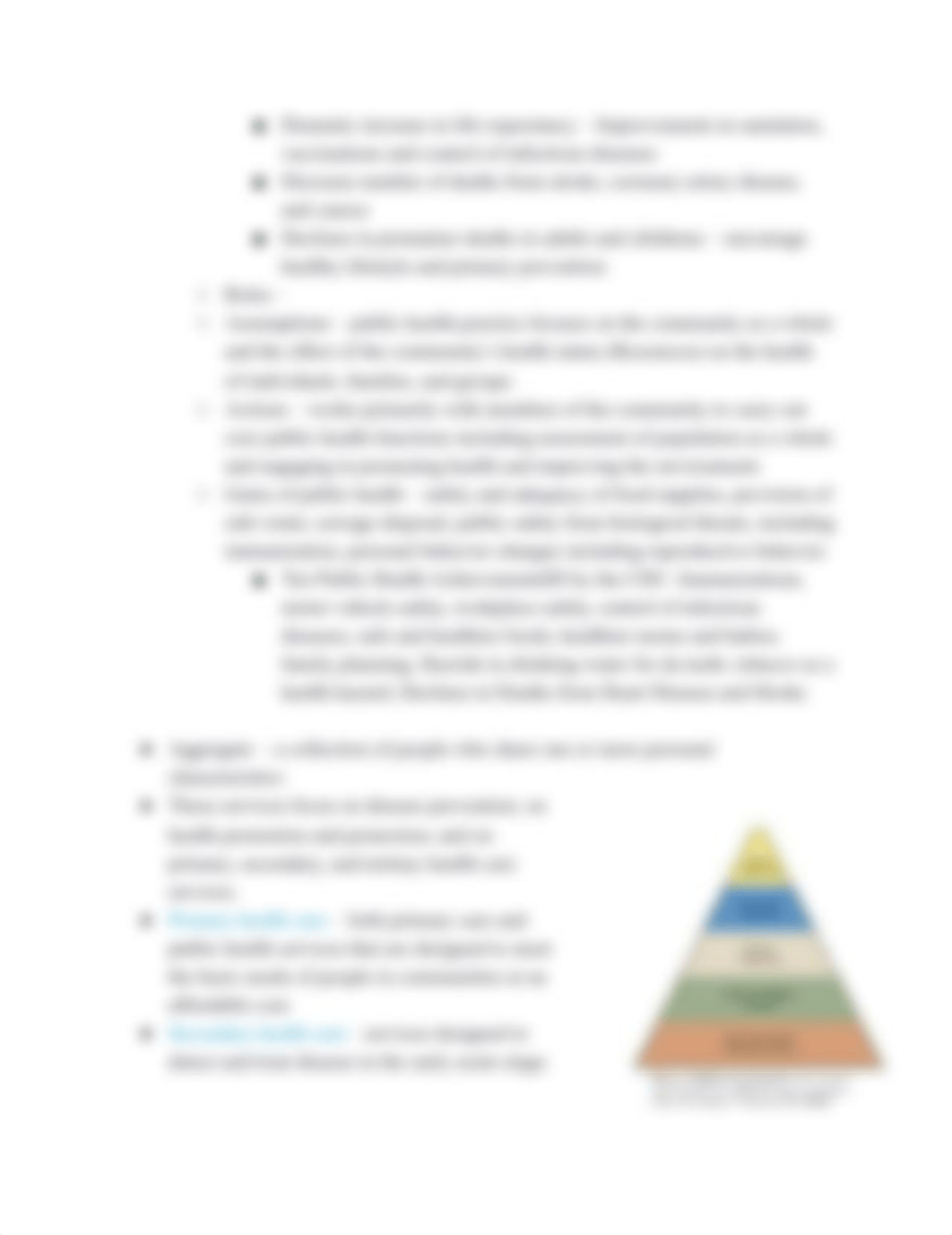 Community Health Review—Chapters 1-3, 5, 9, 12.docx_d8cnp0pen4a_page4