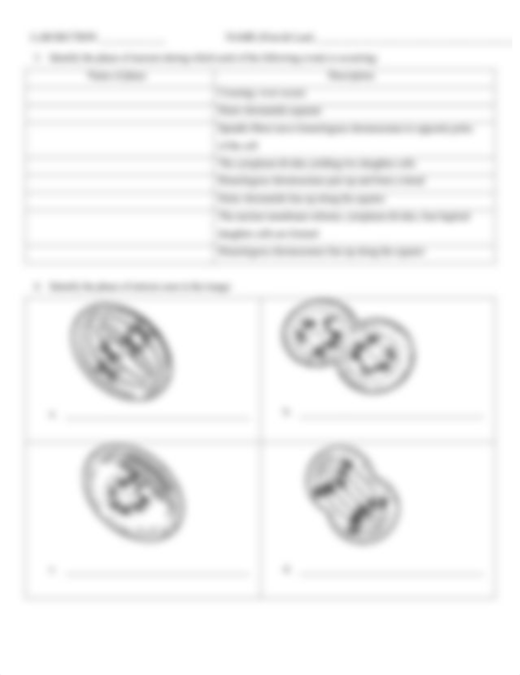 BIOL 1408 LAB LECTURE WORKSHEET #3 (chapter 5) (2).pdf_d8cqmtjquok_page2