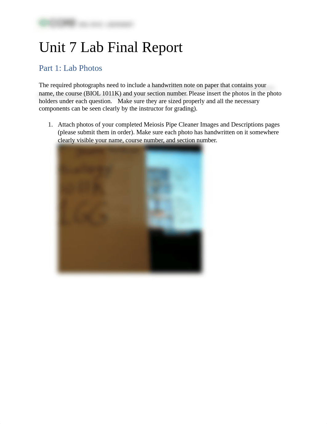 Unit 7 Lab Final Report (1).docx_d8d0mfx6gko_page1