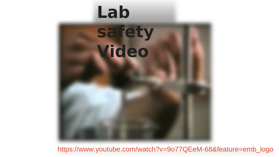 Lab #1  Introduction to Lab Safety - Lab Equipment (Chris Rodriguez).pptx_d8d9kgwkjmi_page2