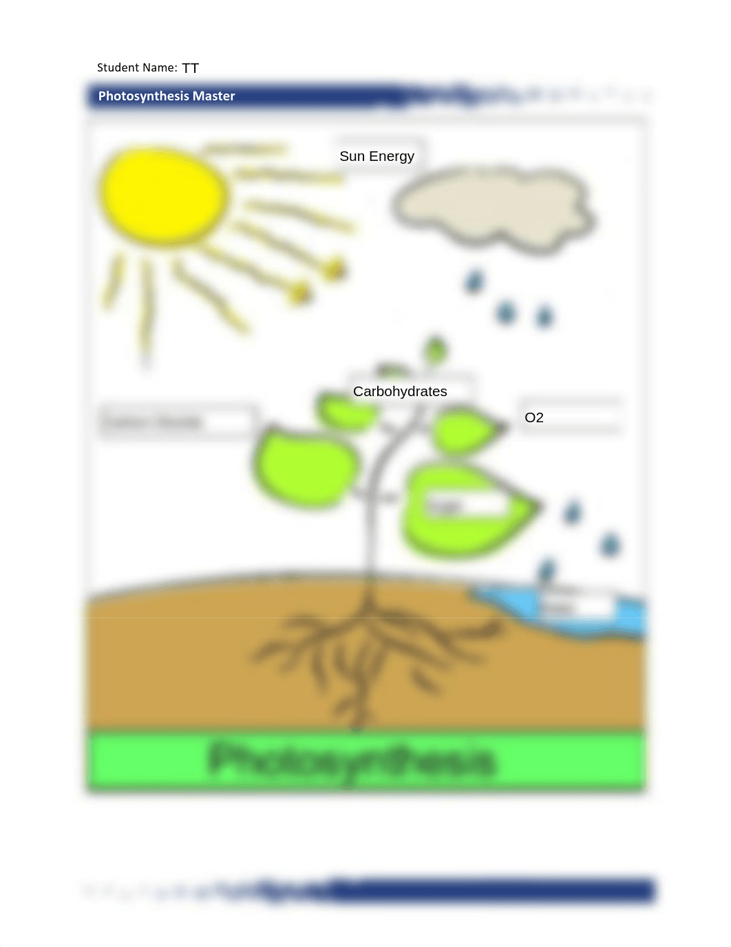 photosynthesis master.TT.pdf_d8d9tn97nth_page1