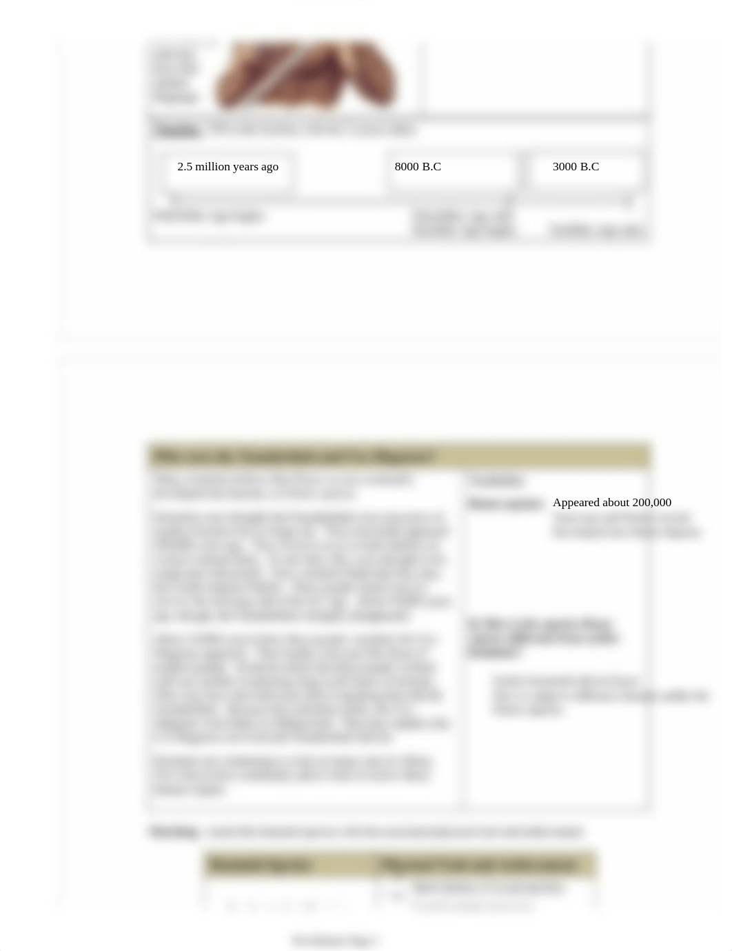 Origin of Early Humans Worksheet.pdf_d8dfzlwh4k5_page3