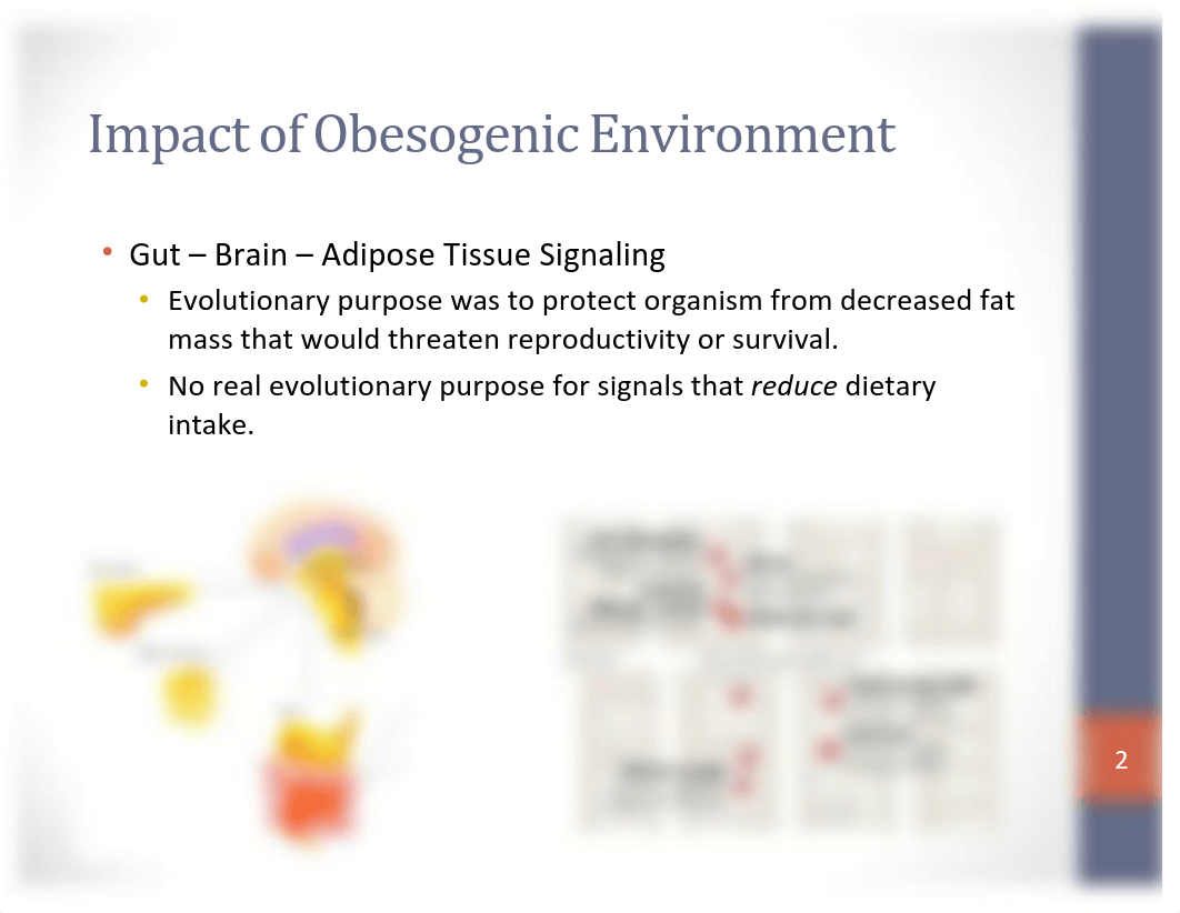 Pathophysiology of obesity.pdf_d8dgb7ntzlf_page2