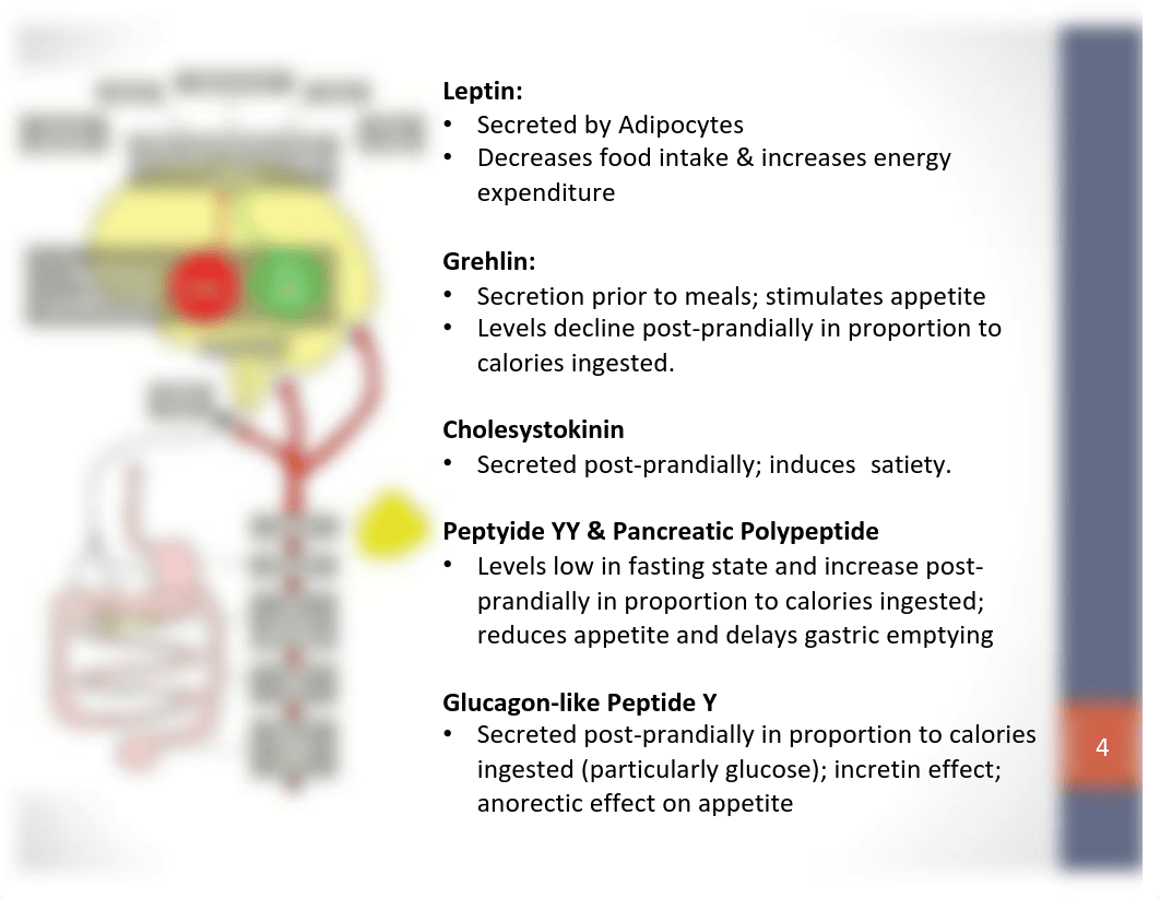 Pathophysiology of obesity.pdf_d8dgb7ntzlf_page4