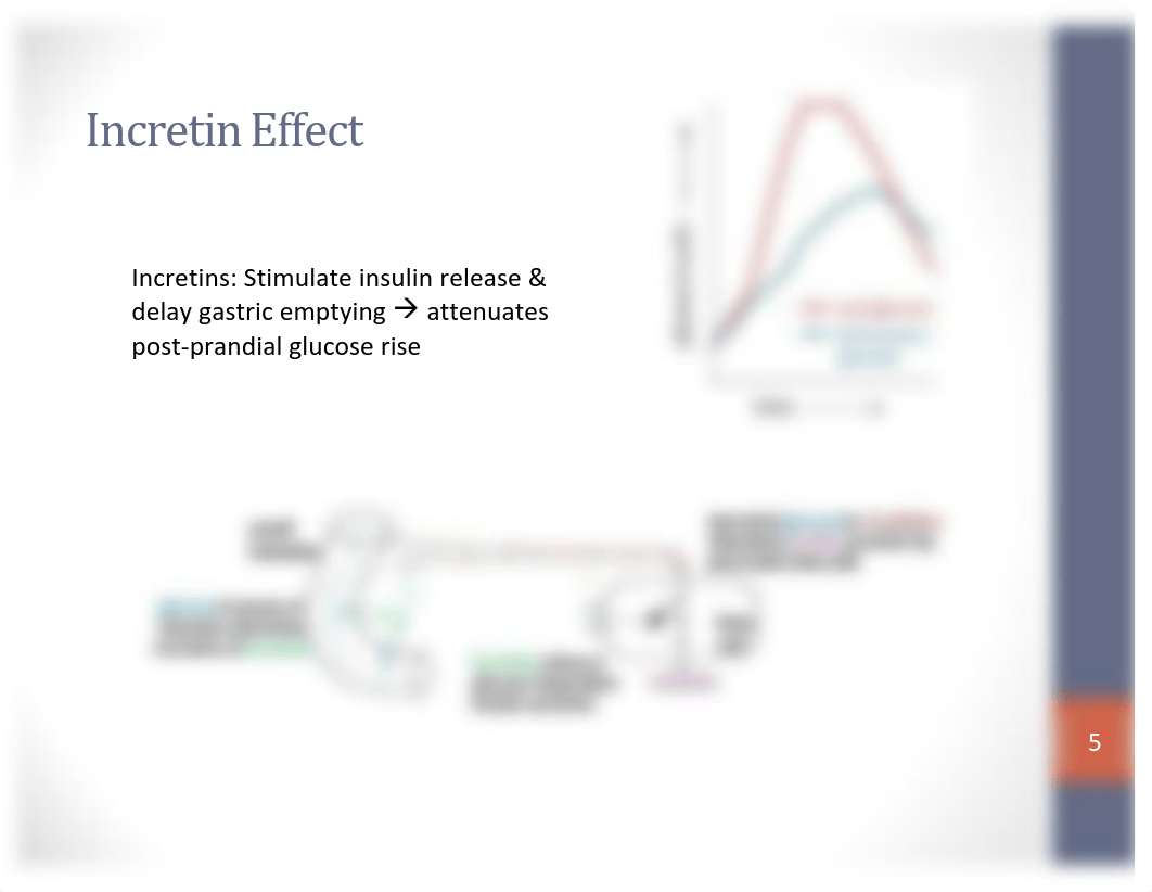 Pathophysiology of obesity.pdf_d8dgb7ntzlf_page5