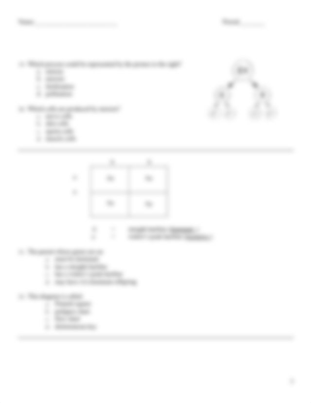 7th-grade-genetics-test_d8dir25i15t_page3