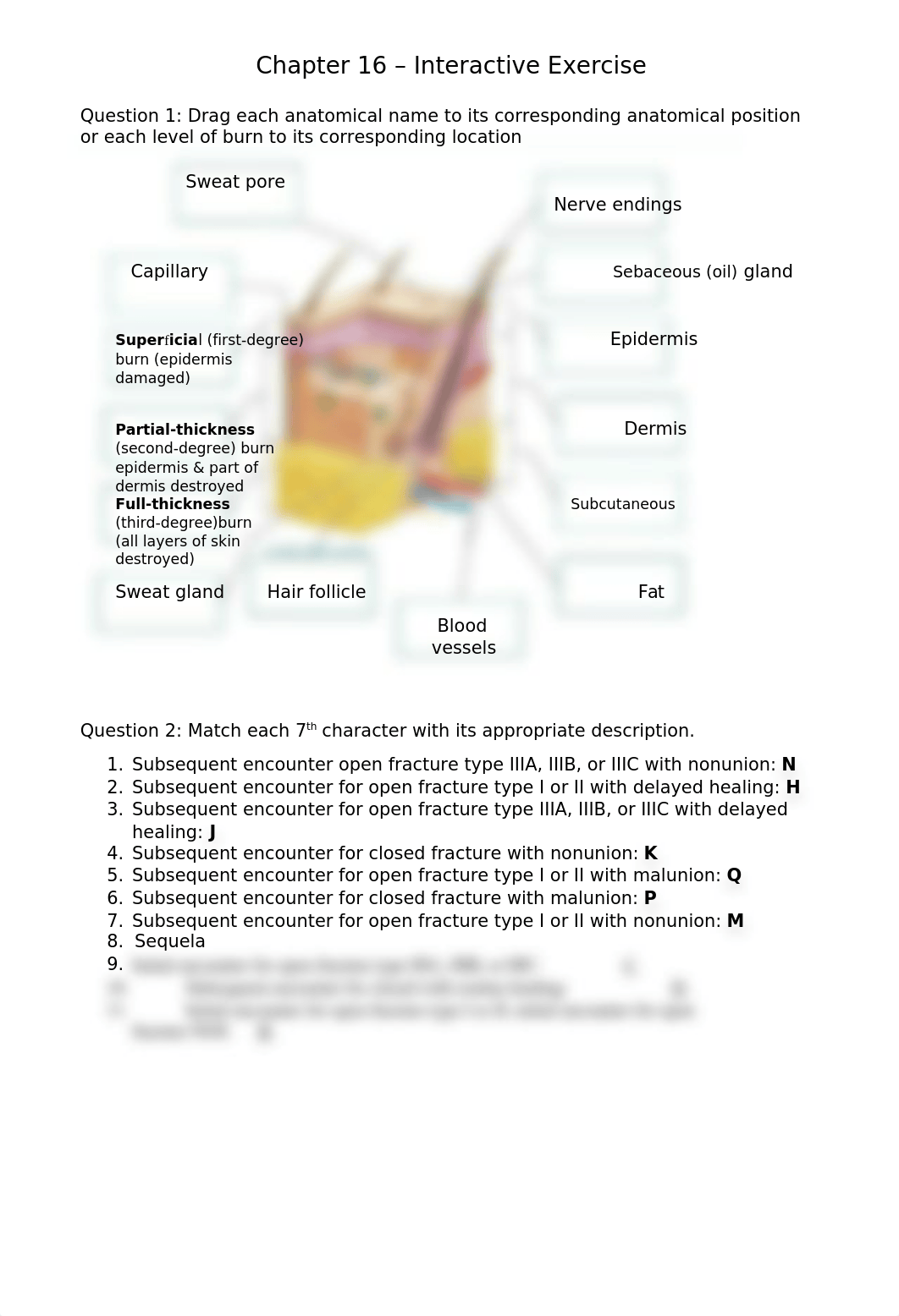 Chapter 16 - Interactive Exercise.docx_d8dqx57byx4_page1