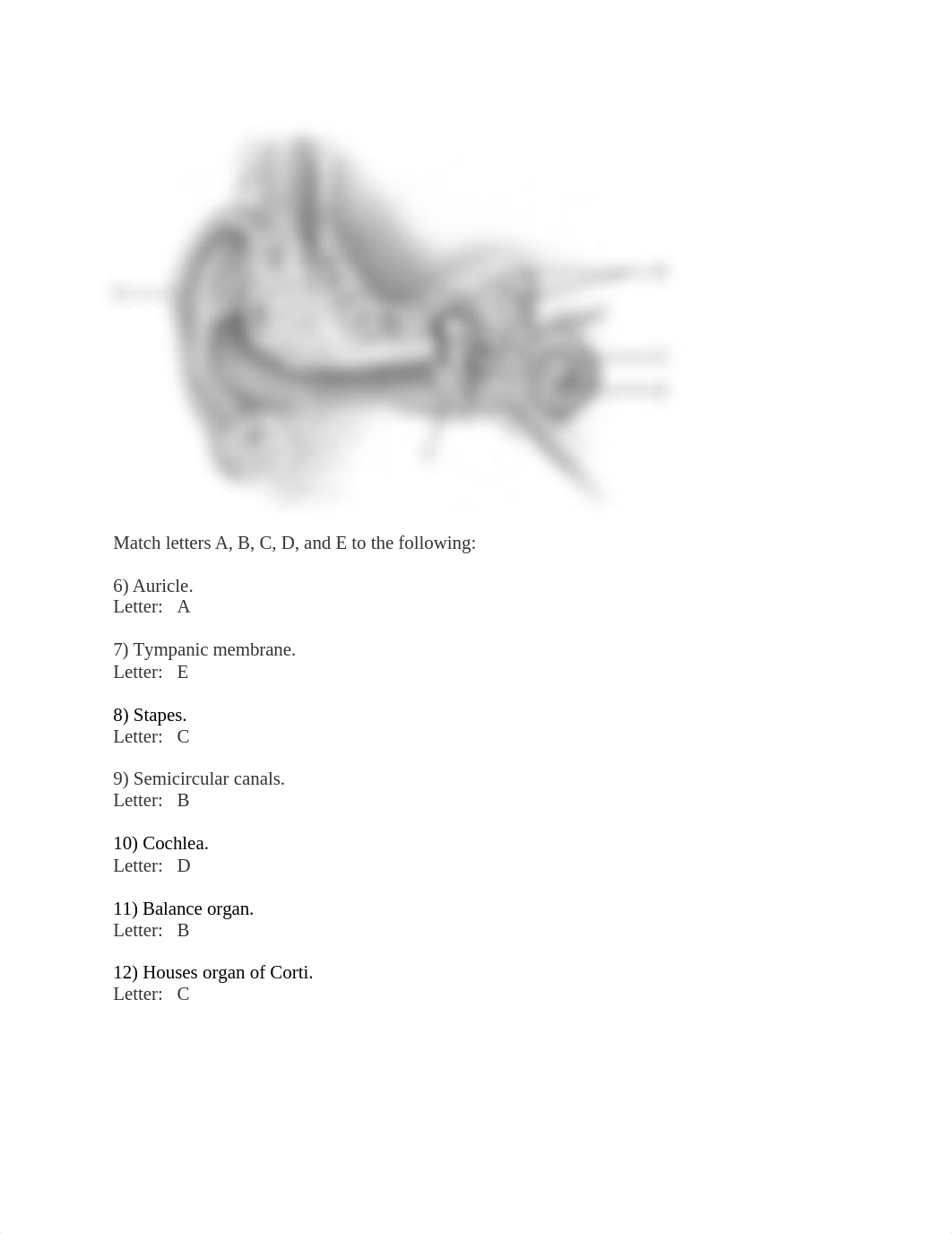 Ch. 15 quiz 30 The Special Senses.docx_d8dr7z3uo1a_page2