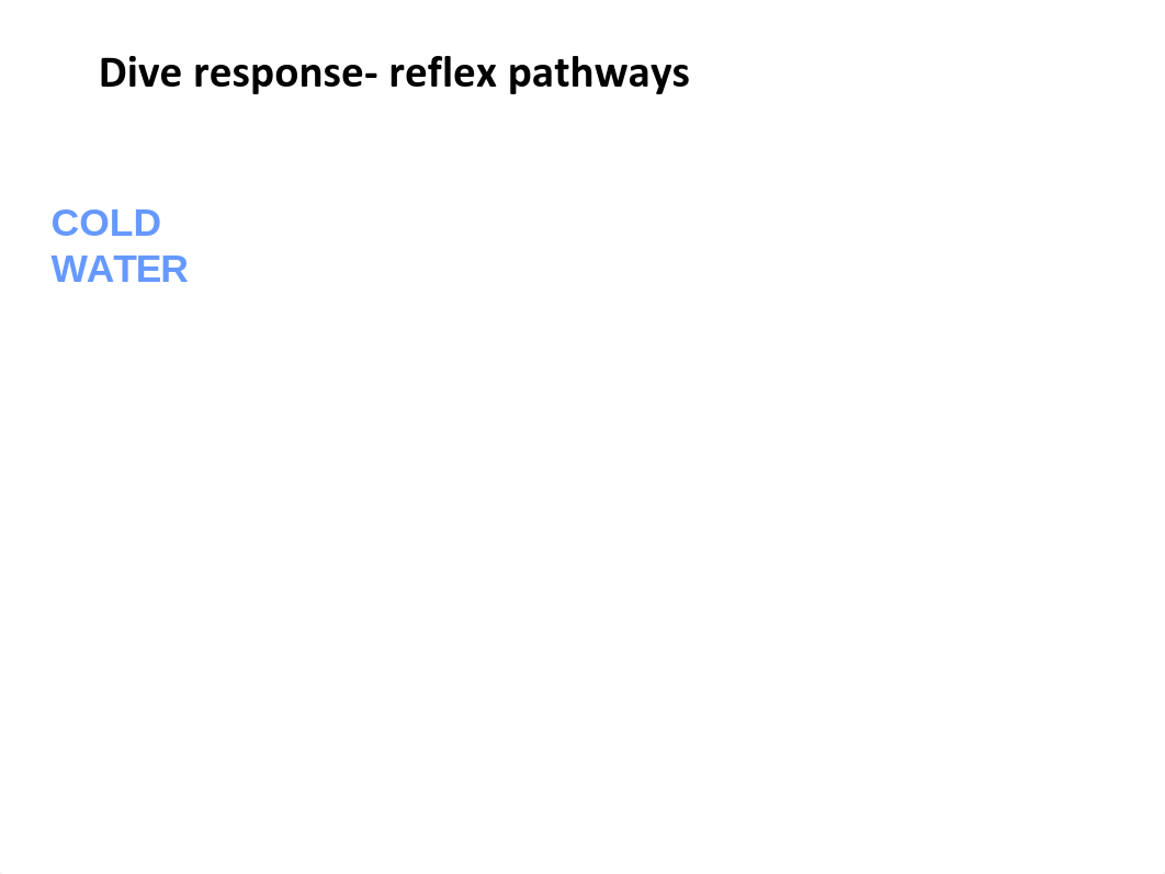 Dive - laminated slides.pdf_d8dyg1gm09p_page2