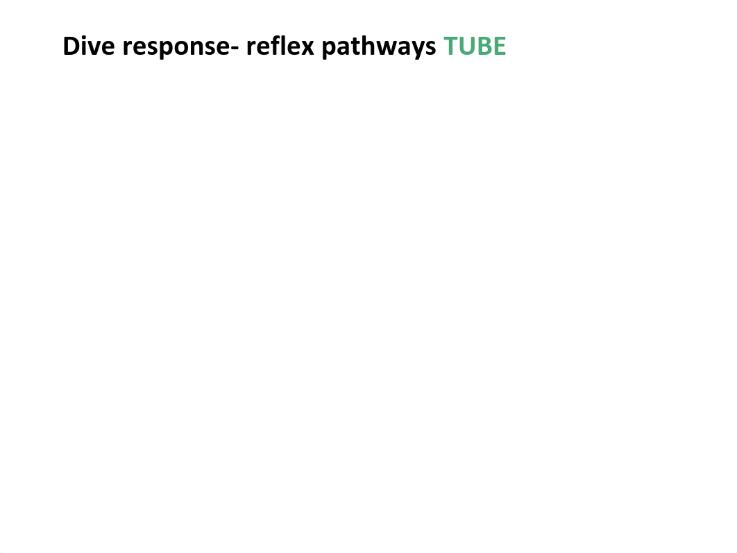 Dive - laminated slides.pdf_d8dyg1gm09p_page3