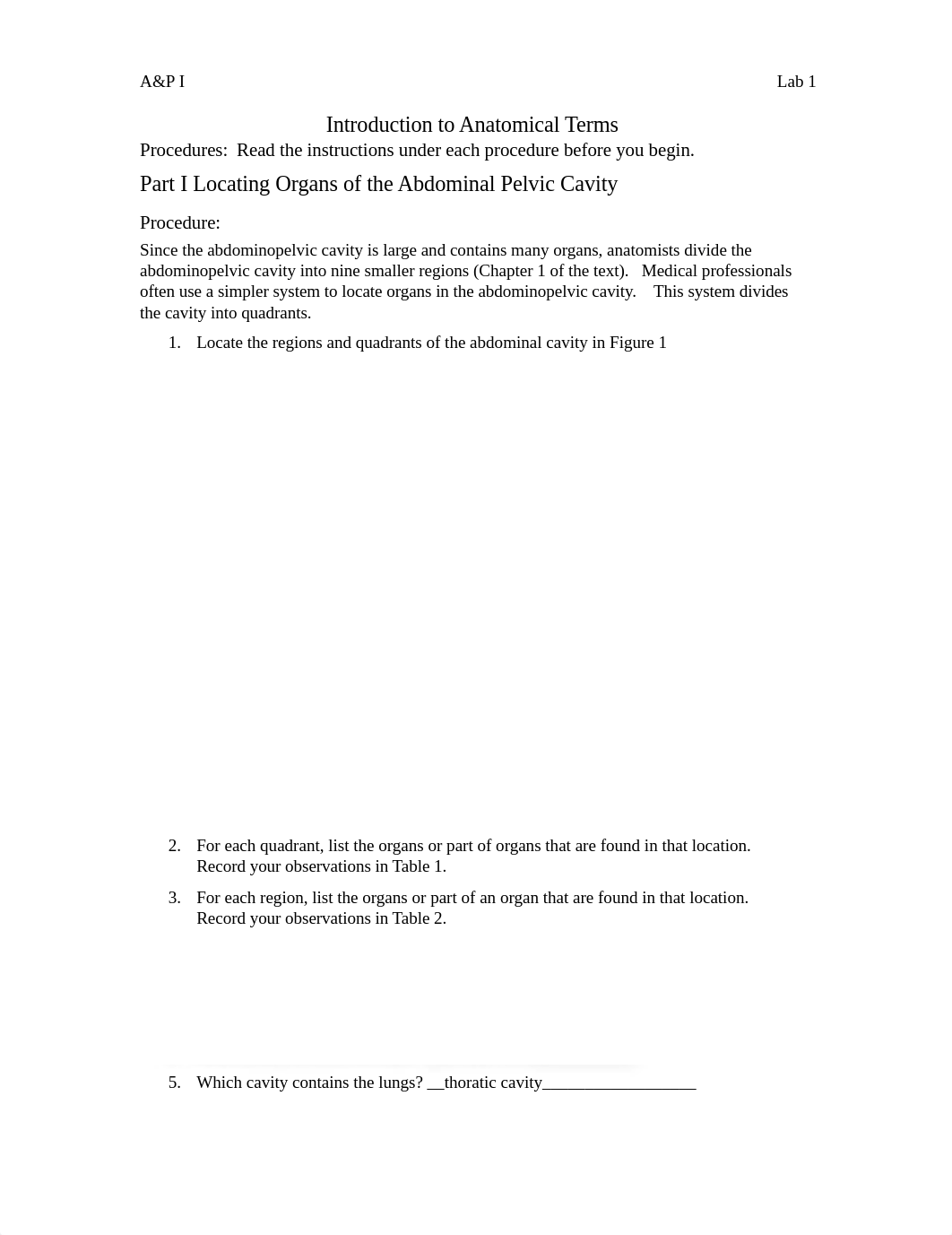 Lab 1 - Anatomical Terms (2) (2).docx_d8eqhto3oeh_page1