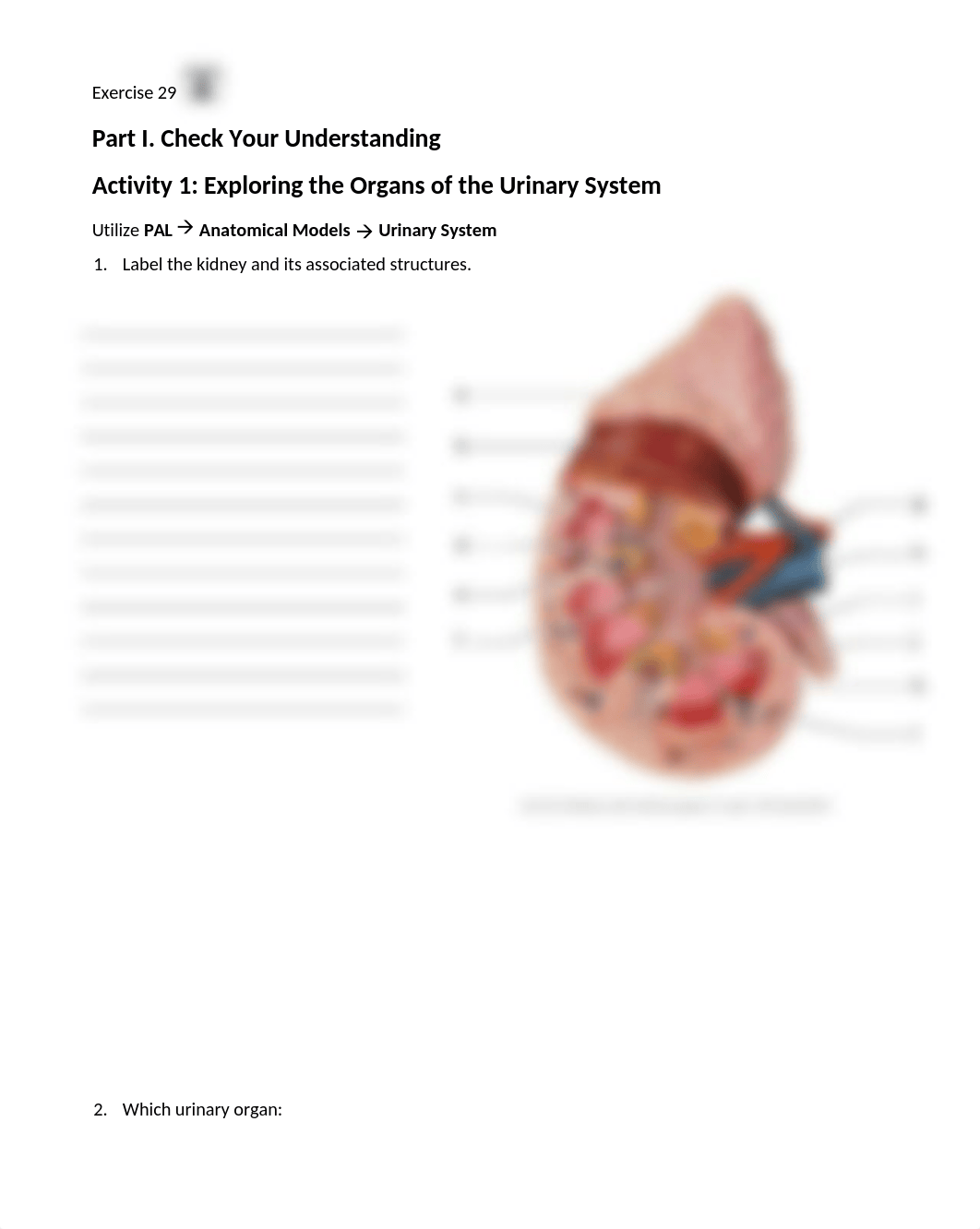 14. Unit 14 laboratory exercise 29 (1) finished.docx_d8et86skaiq_page1