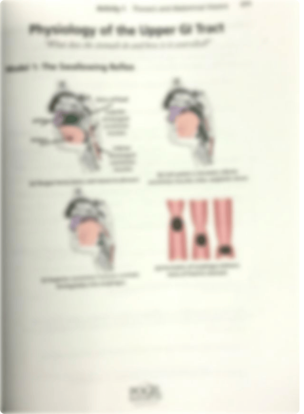 Digestion_fill_in[2513].pdf_d8f3r8fyqmx_page1