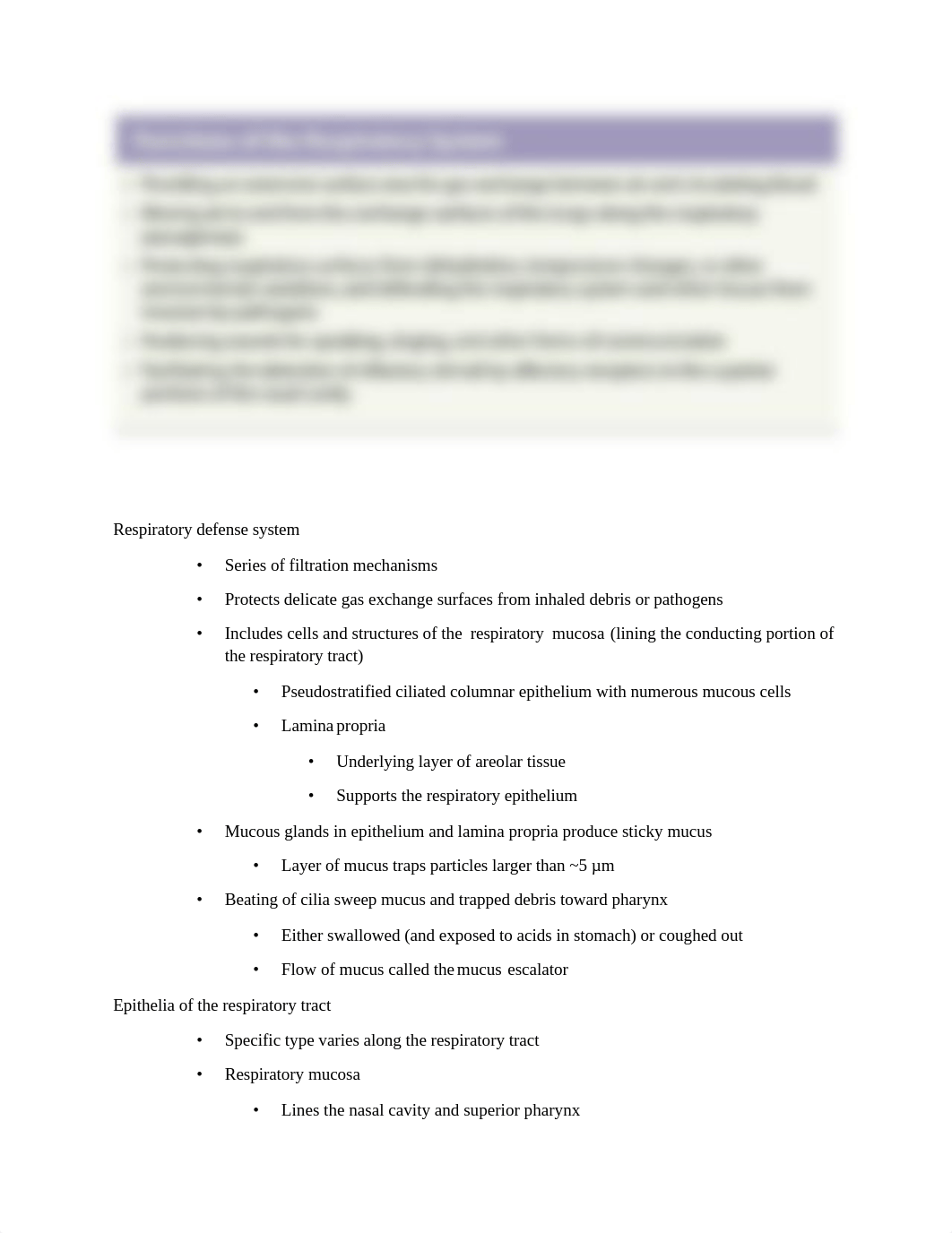 Respiratory System.docx_d8fcdpgrca2_page2