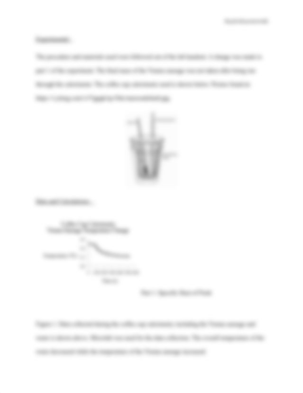 Thermochemistry Lab Report.docx_d8fdfo8s8t5_page4