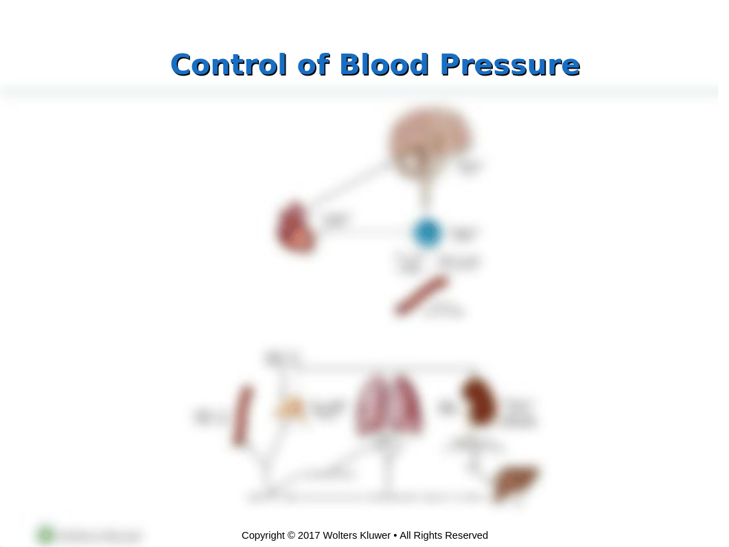 WEEK 8_CARDIO 1_STUDENT-2.ppt_d8fgvz5t5cb_page3