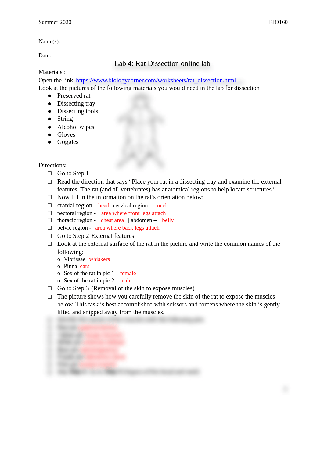 Lab 4. Rat Dissection online Lab (1).docx_d8fhfymfme4_page1