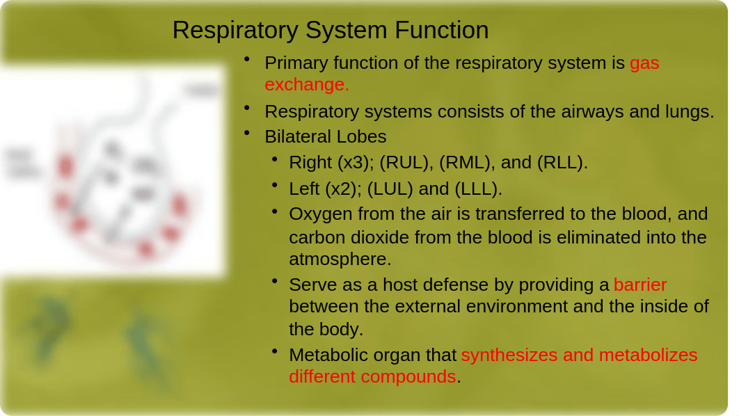 Concept of Oxygenation.pptx_d8fhj8seunl_page2