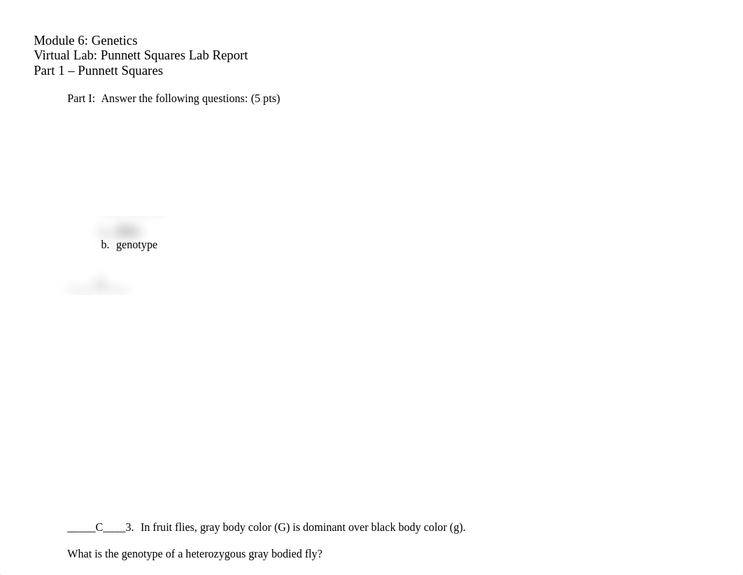 Punnett Square lab report - Bio.docx_d8fnfa0z2mc_page1