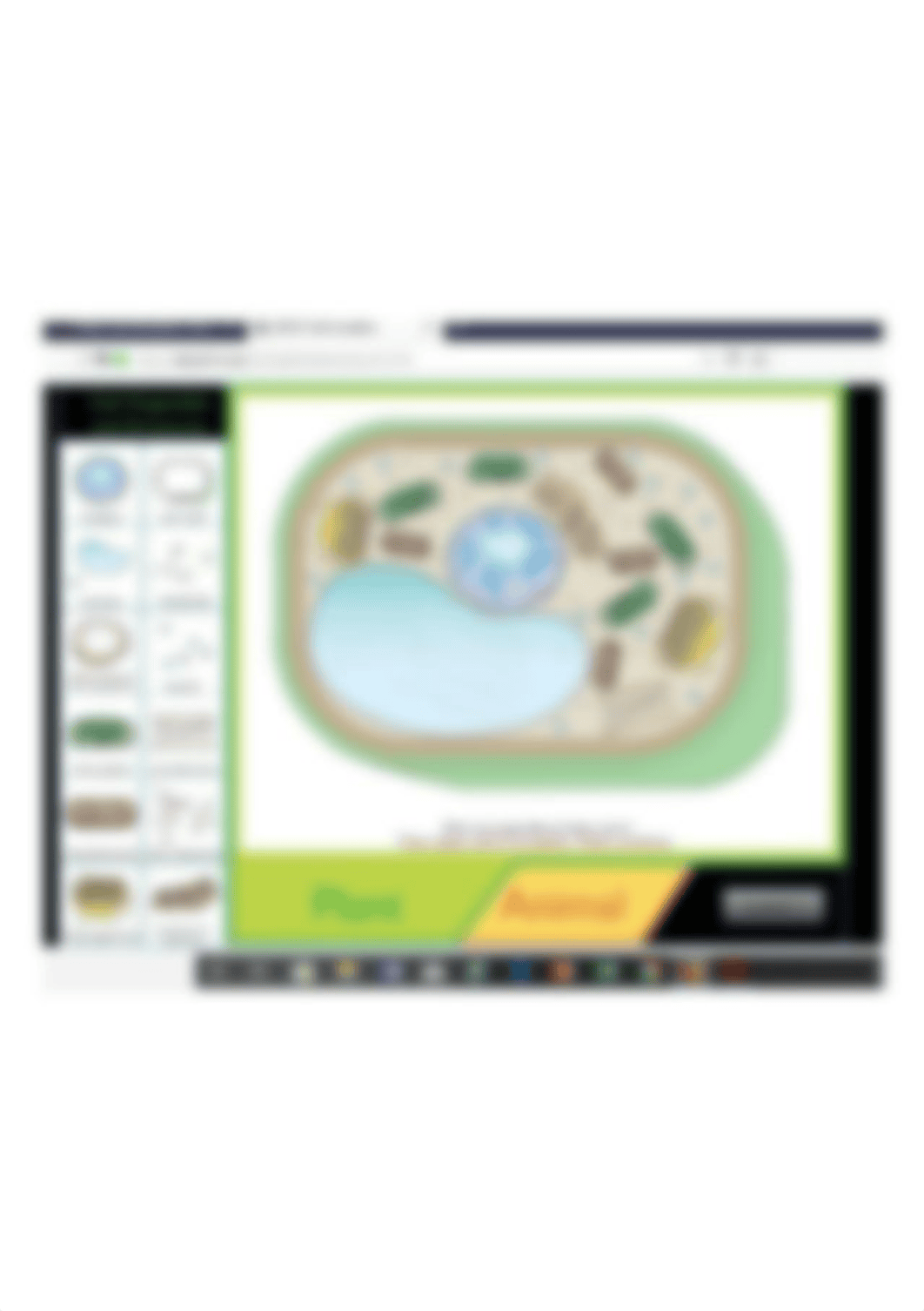 Plant cell.png_d8foqqz71xf_page1