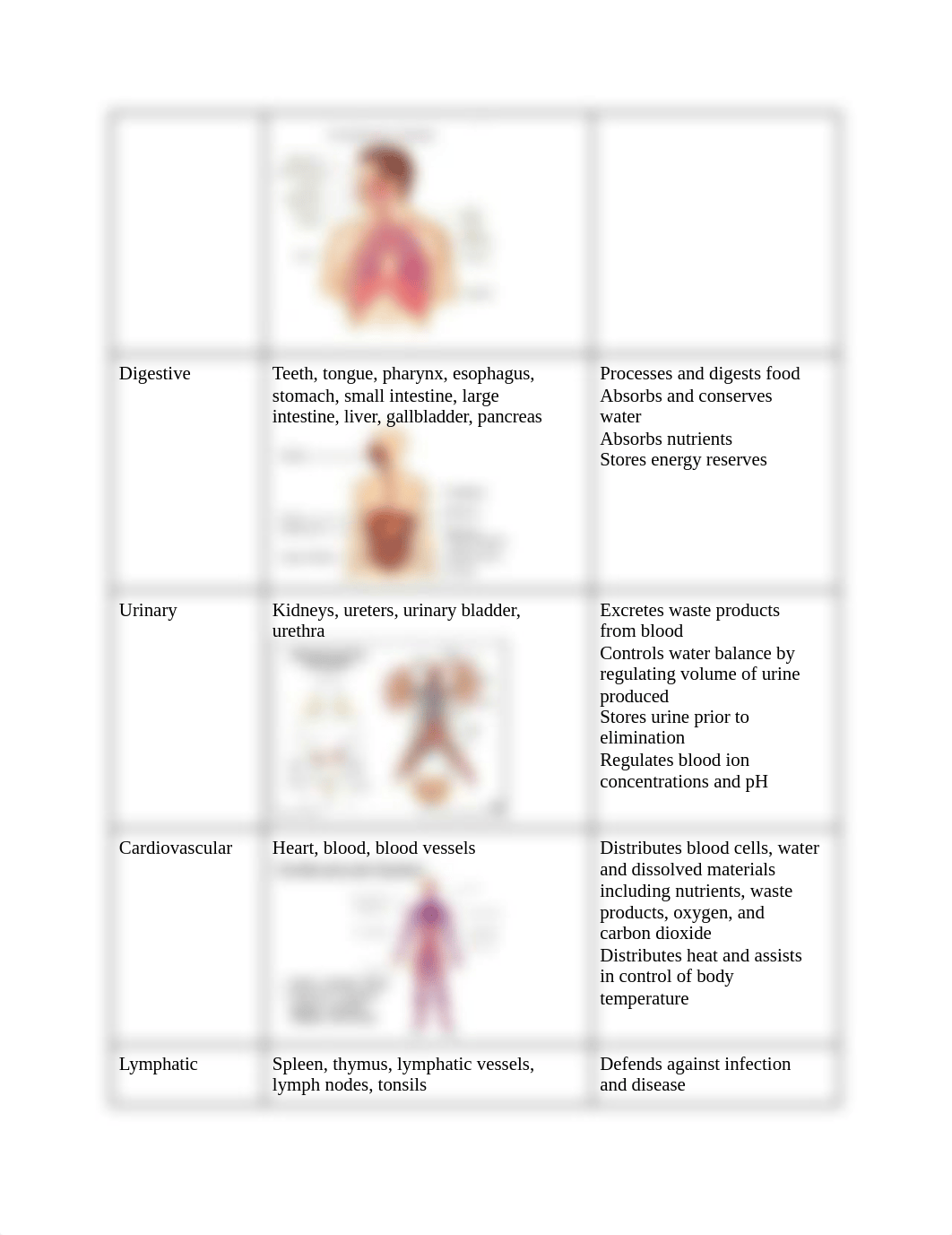 MCB 244 EXAM.docx_d8fwz8ko06m_page3