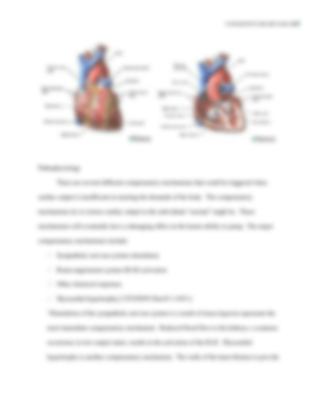 Case Study for CHF.docx_d8g5ey3tb6l_page4