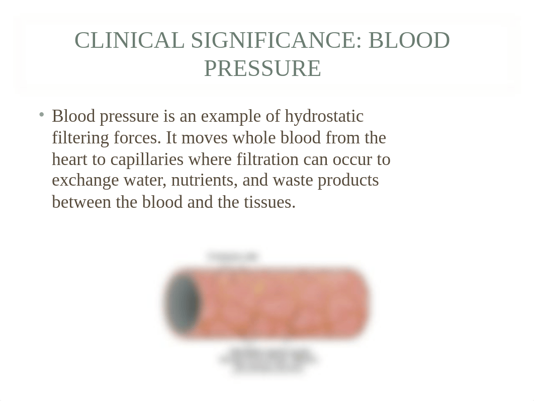 Fluid and Electrolytes  Imbalances sp17.ppt_d8ga8nczqr2_page3