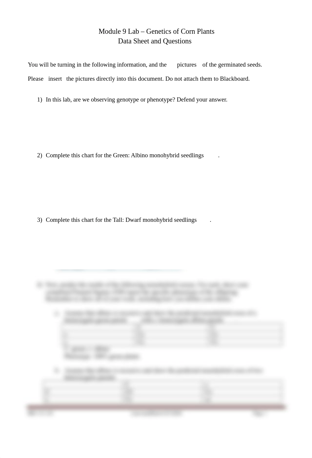 Module 9 Lab_Genetics of Corn Plants_Data Sheet.docx_d8gaaf7sud8_page1