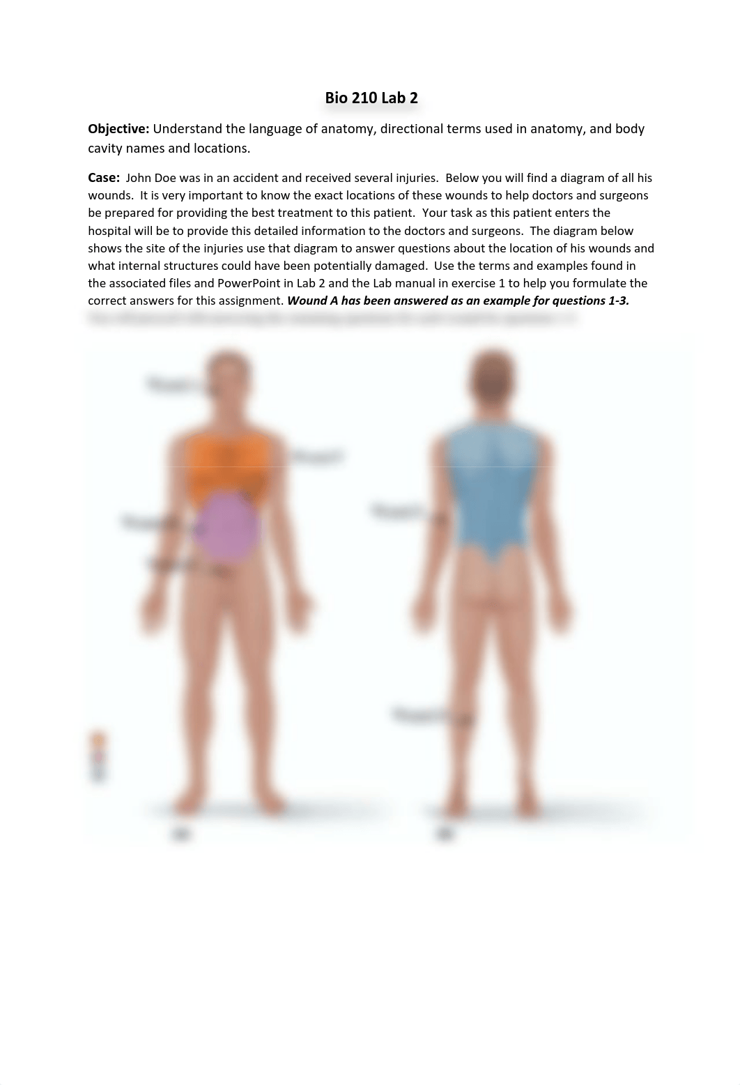 Lab 2 Case Study 1.pdf_d8gbi148xfr_page1