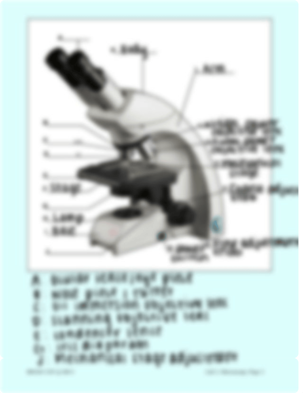 Lab 2_ Microscopy Lab Exercises (F2F).pdf_d8gllgic563_page2