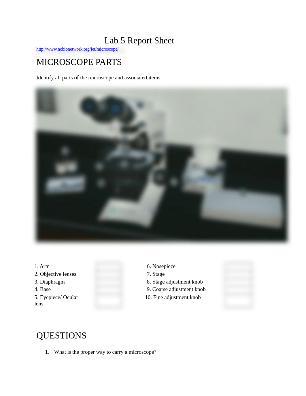 Lab 5 - Report Sheet.docx_d8gmcsxzufm_page1