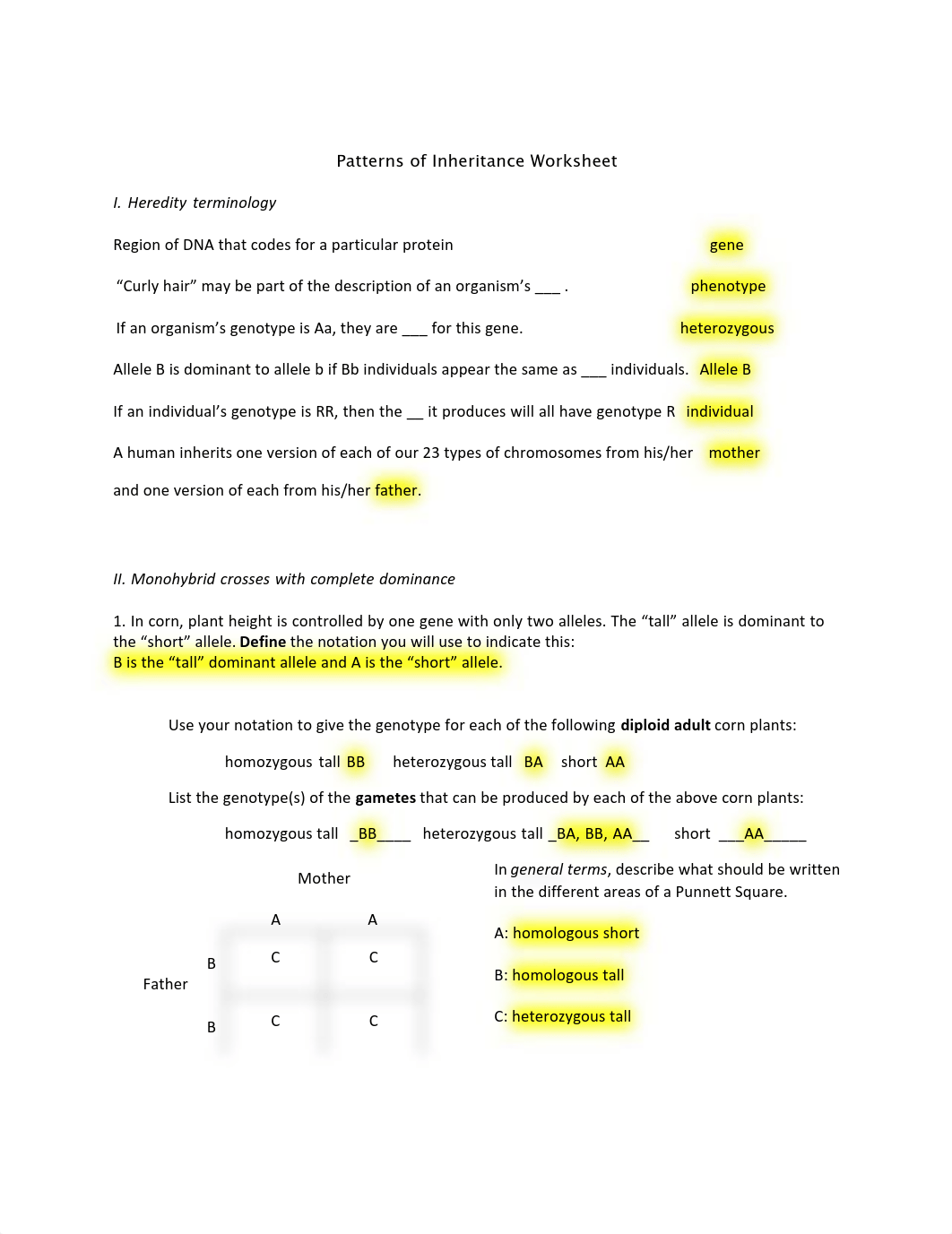 Week 6 - Genetics Worksheet_d8gwskjqzlx_page1