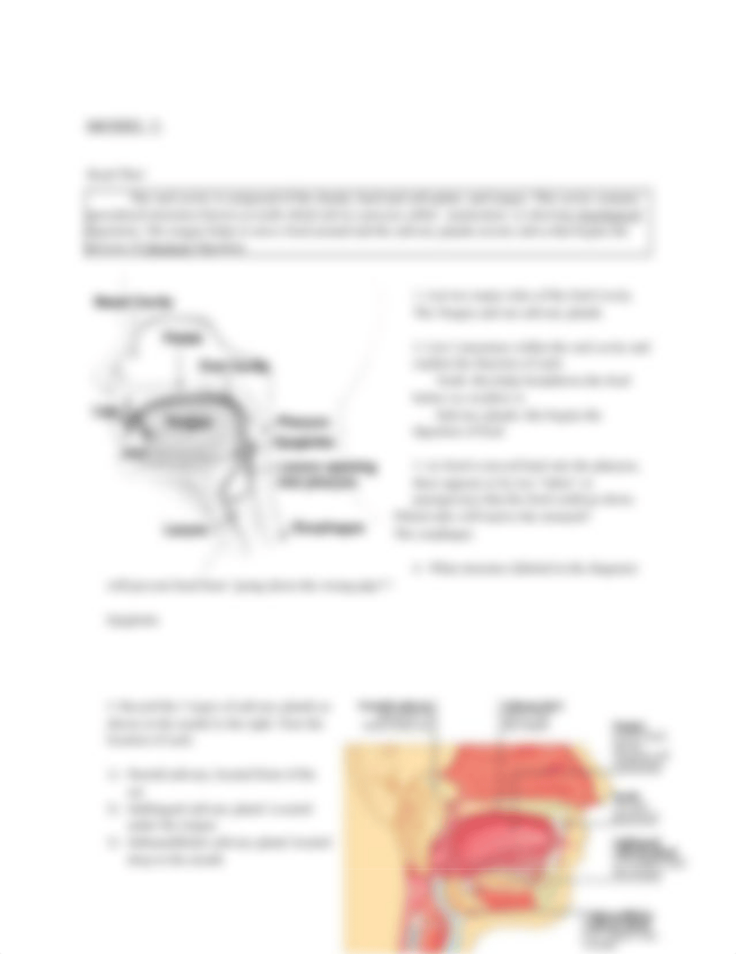 Digestive activity.docx_d8gz2b5k2ww_page3