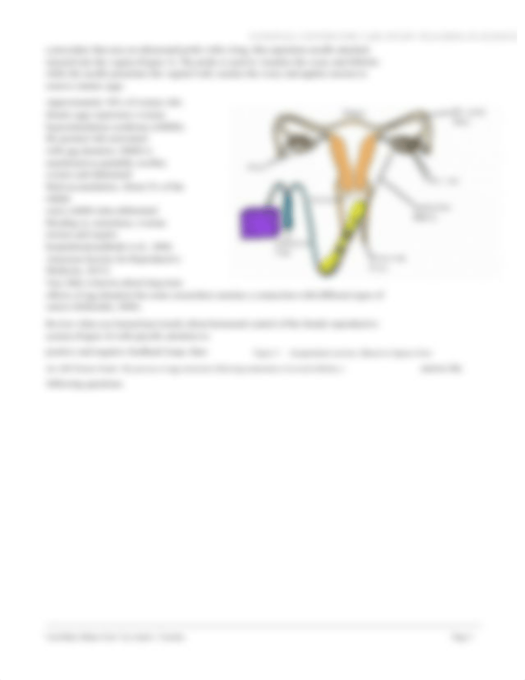 gestational_surrogacy (1).docx_d8h16goioym_page3