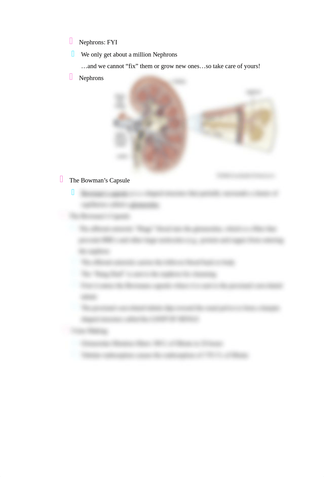 Chapter 53 Assessment of Kidney and Urinary Function.docx_d8h4s0y5ta3_page2