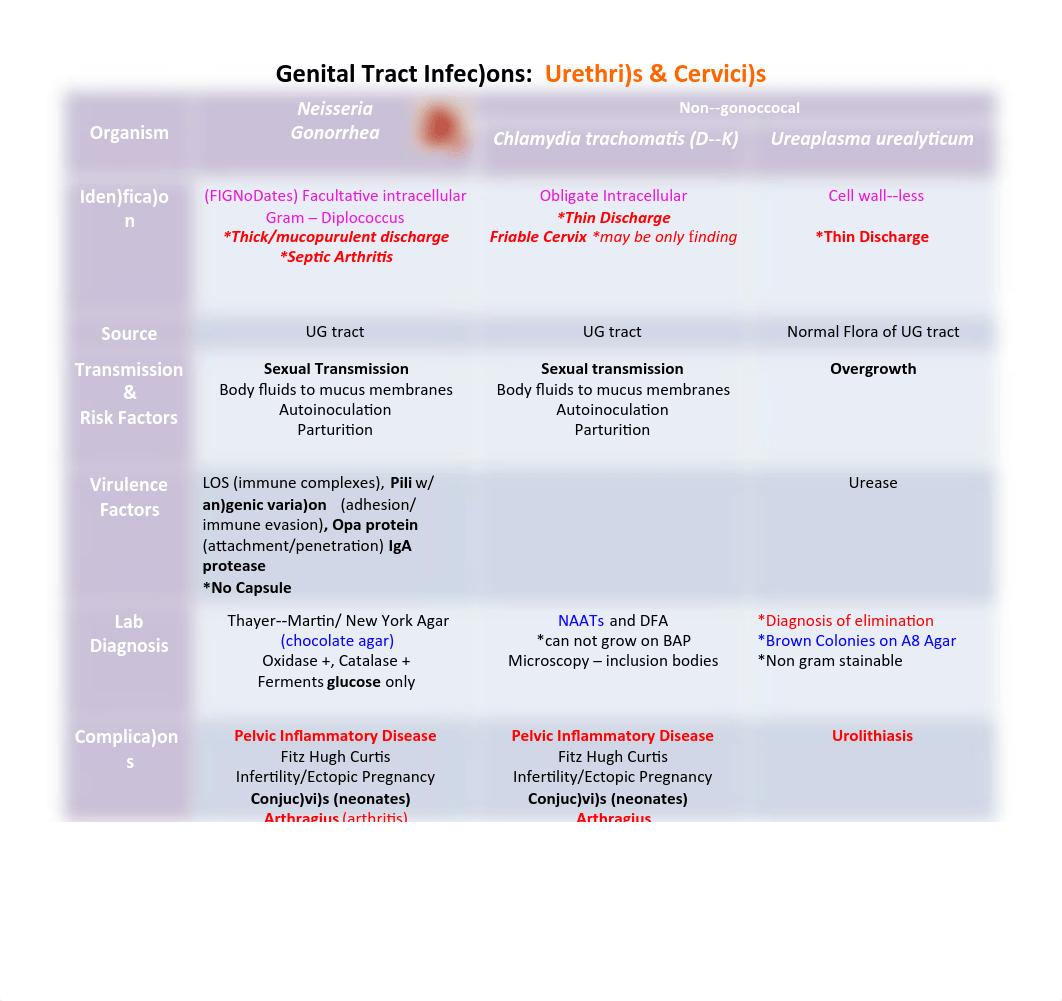 Micro Bugs.pdf_d8h5vdxmrw4_page3