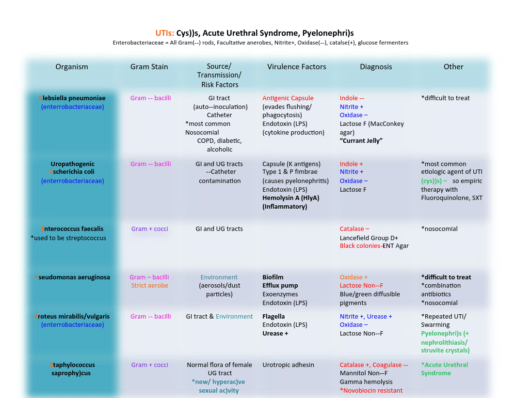 Micro Bugs.pdf_d8h5vdxmrw4_page2