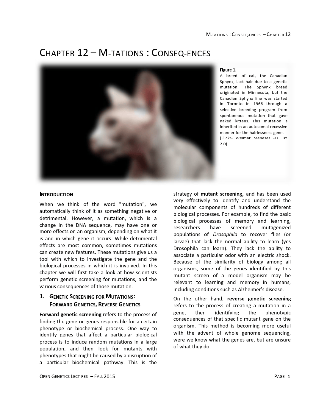 Ch12- Mutations Consequnces.pdf_d8h5zdjafmx_page1