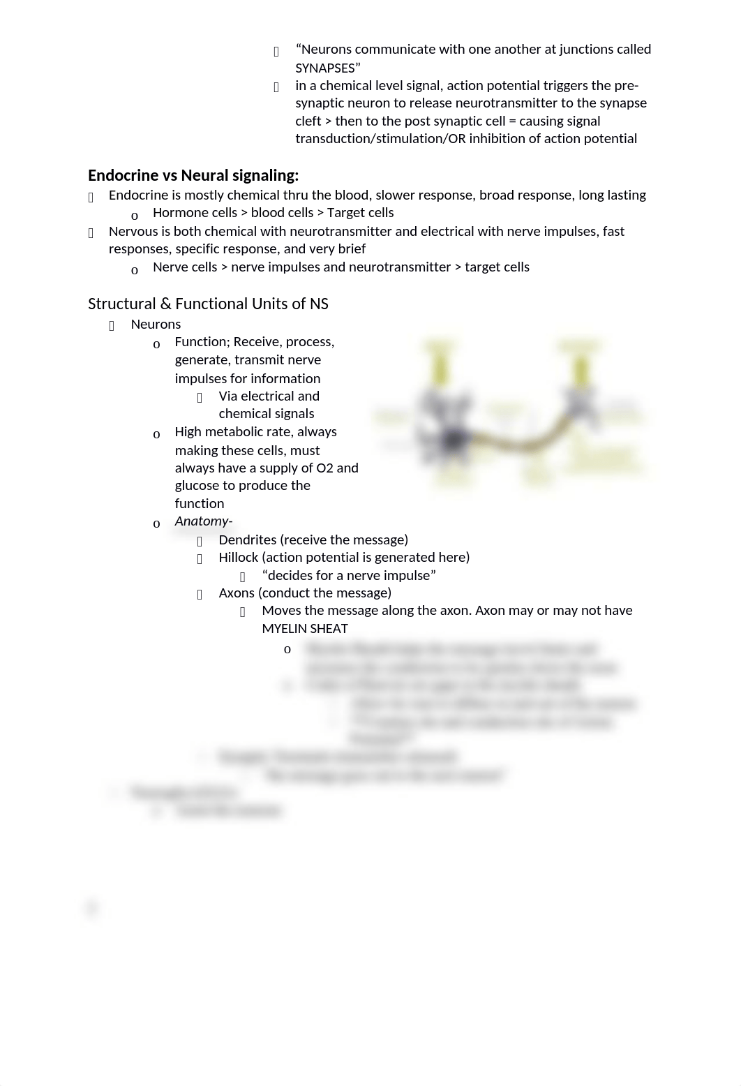 Neurophysiology Week3.docx_d8h6wxolhy4_page2