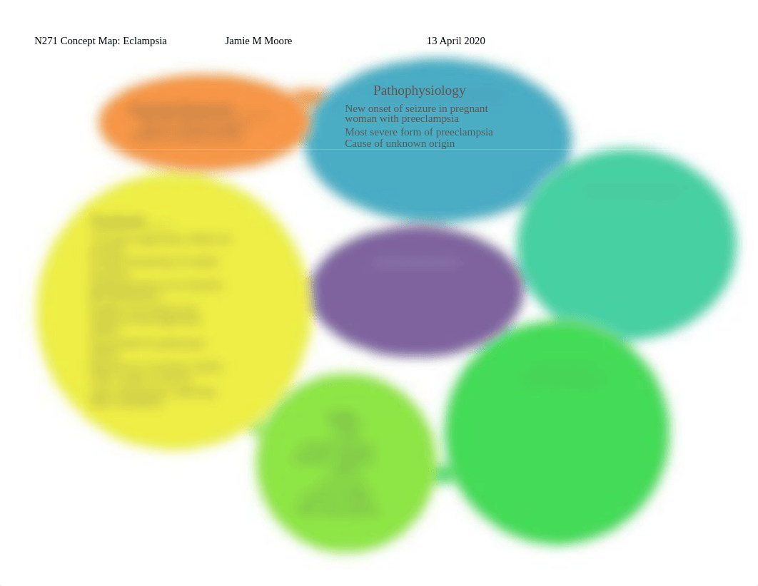 N271 Concept Map Eclampsia FINAL.docx_d8har3vedv5_page1