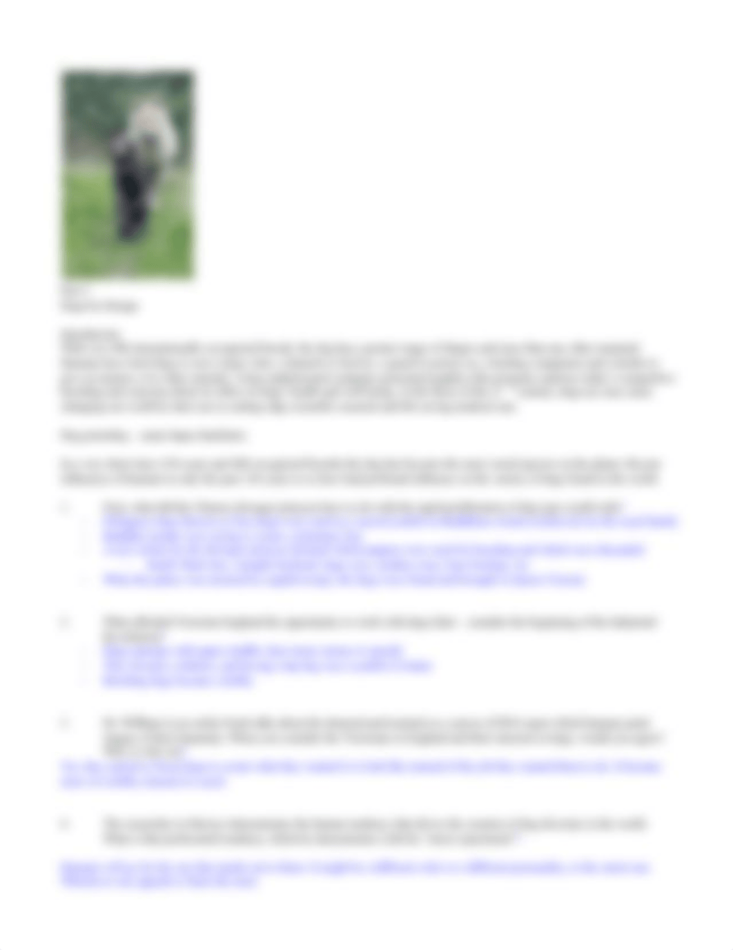 Erin Duenwald - Dogs That Changed the World Questions.pdf_d8hbjrxia79_page3