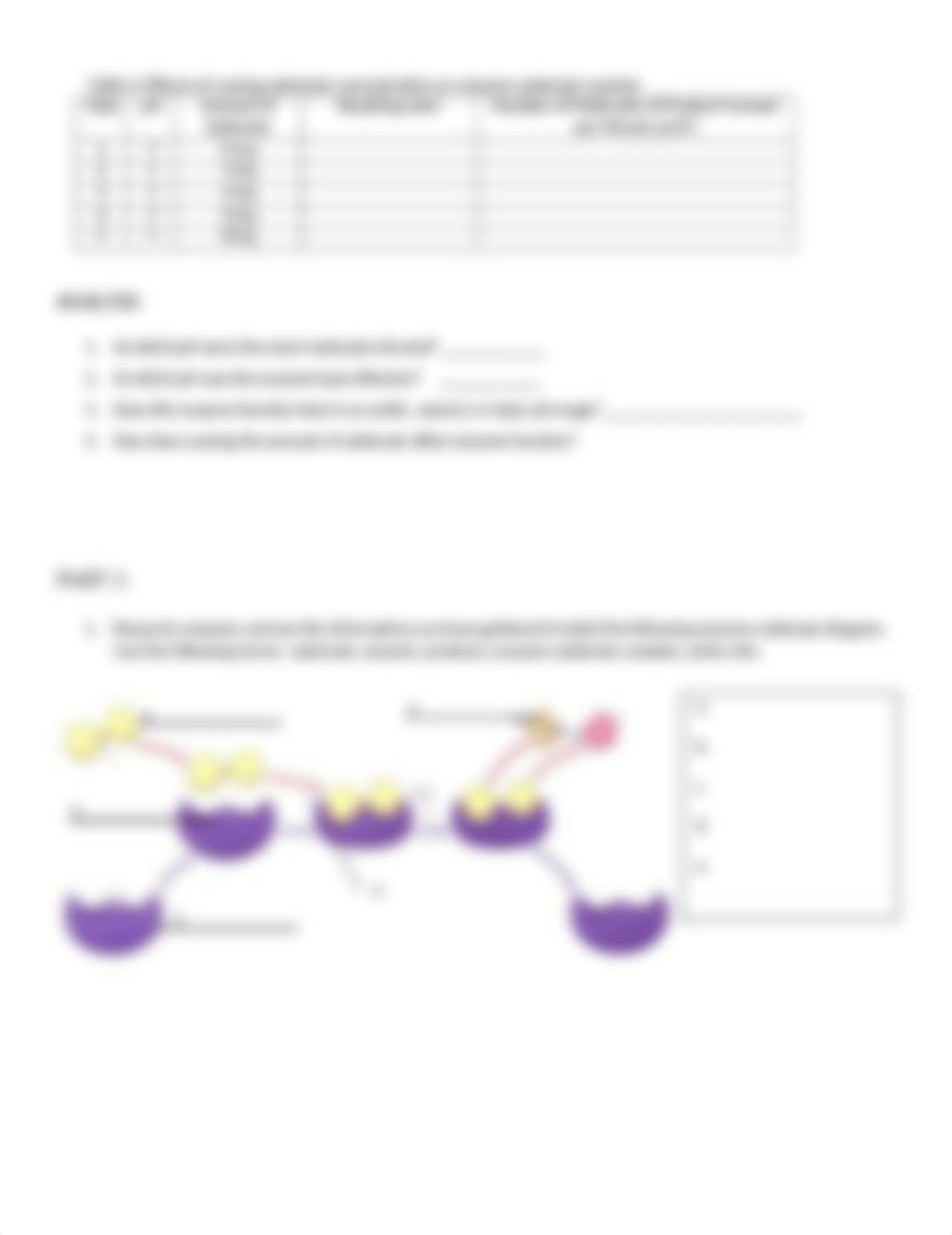 PB I  Enzymes virtual lab SP20.doc_d8hevo3ch2e_page2