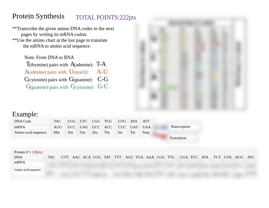 Protein_Synthesis__Practice (1).pdf_d8hmy5xtd5c_page1