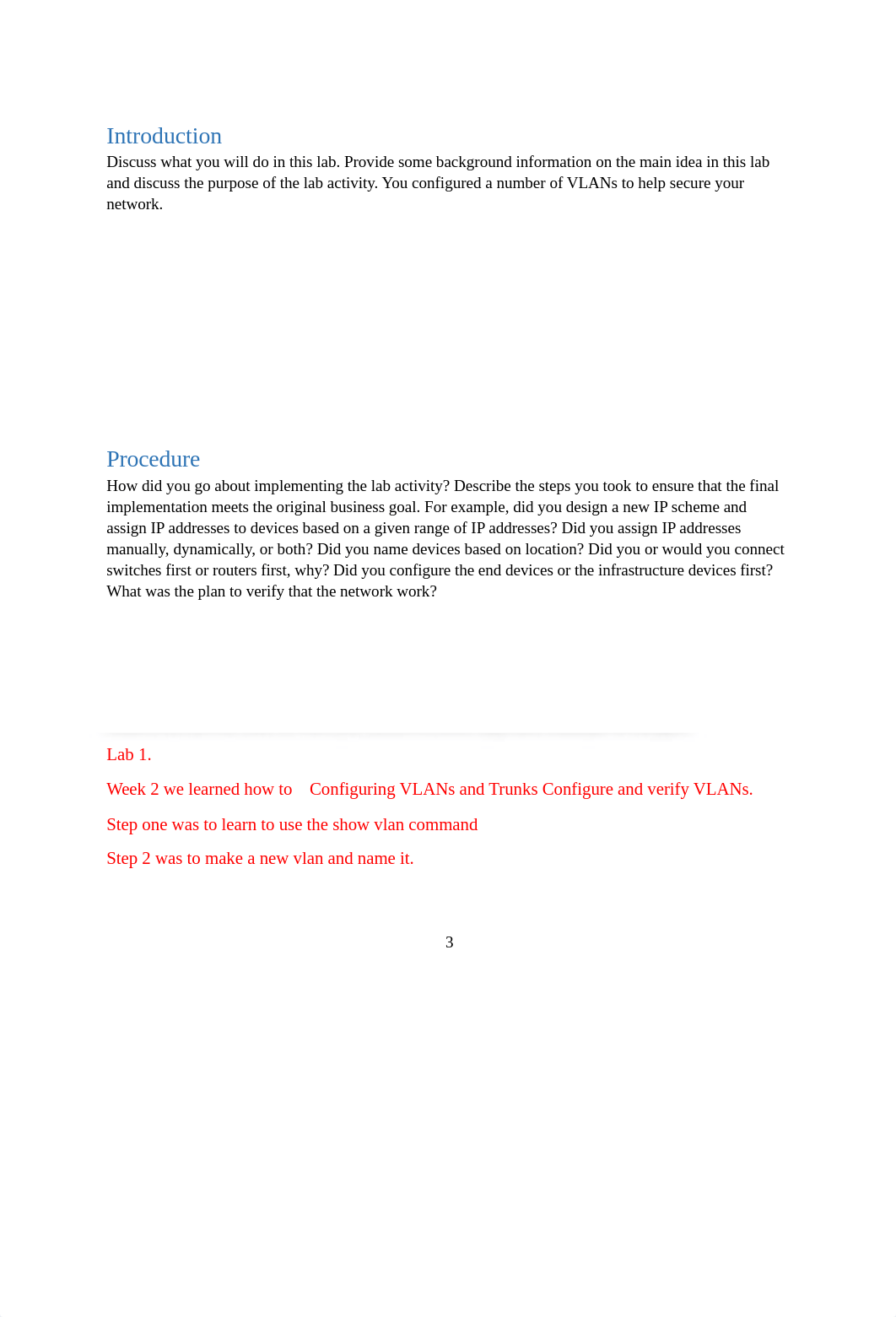 NETW204 Lab Report Template week 2.docx_d8hqkjmy3lm_page3