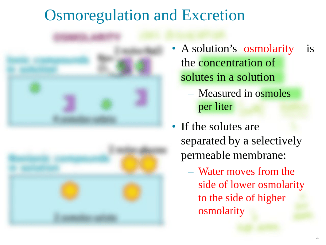 8.2 Water & Electrolyte Balance in Animals.pdf_d8i167uqooa_page4