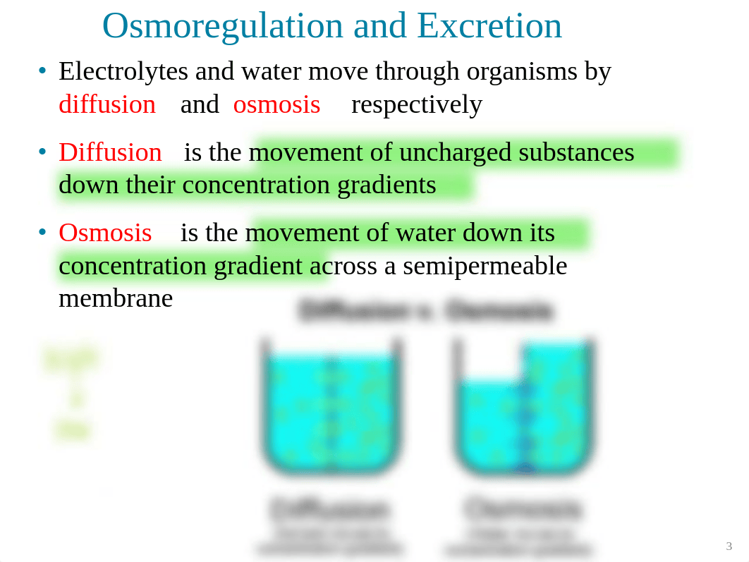 8.2 Water & Electrolyte Balance in Animals.pdf_d8i167uqooa_page3