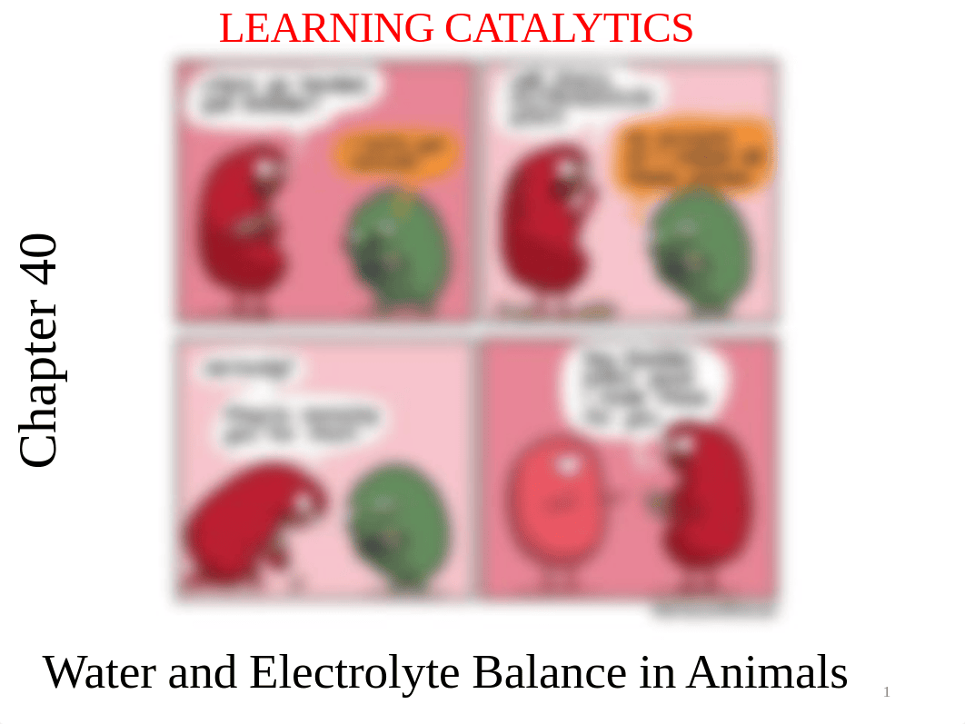 8.2 Water & Electrolyte Balance in Animals.pdf_d8i167uqooa_page1