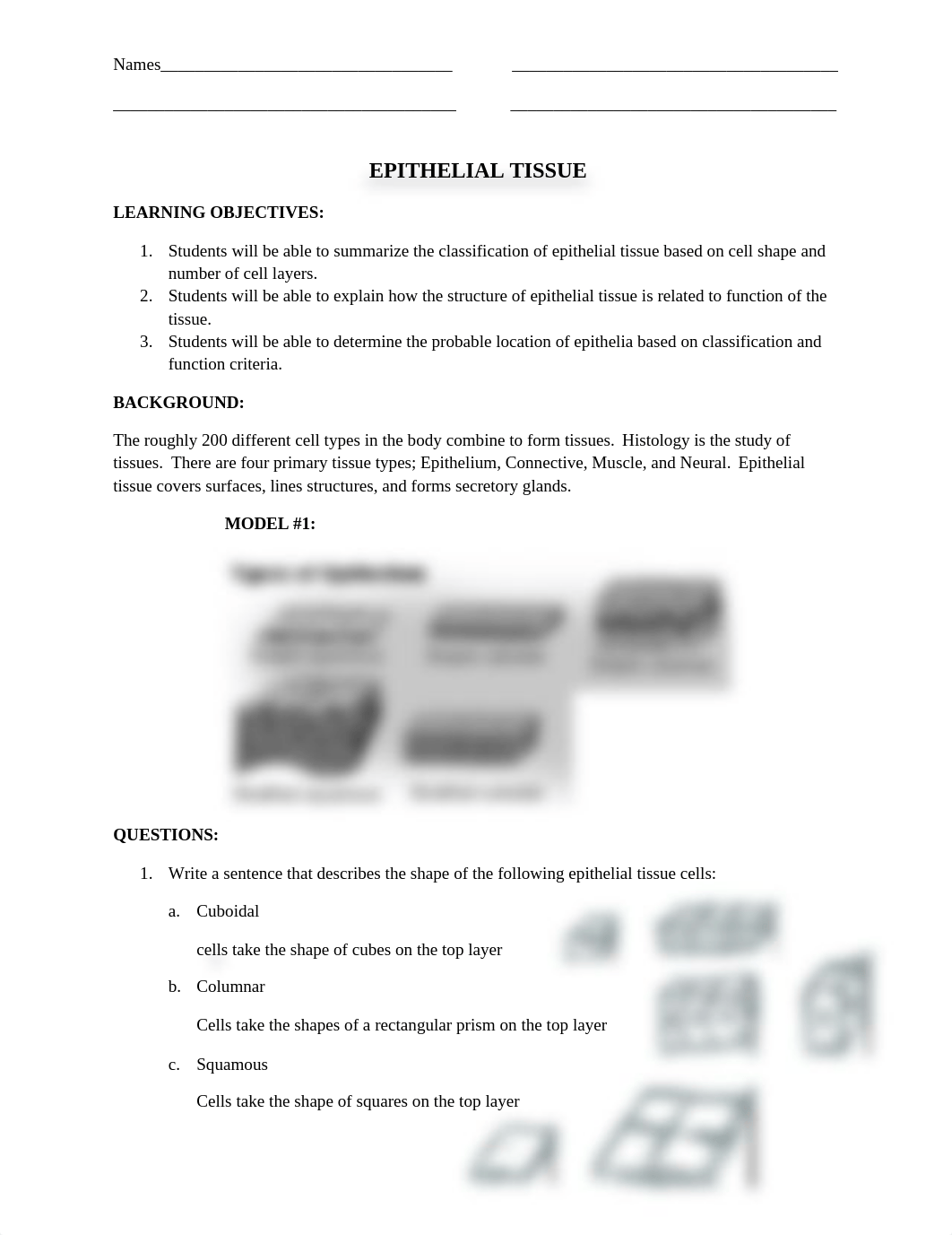 EPITHELIAL TISSUE.docx_d8i1tkt6r8d_page1